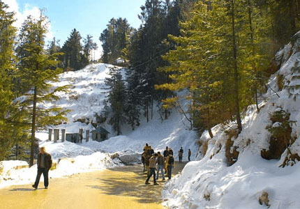 Chandigarh to Shimla Manali Tour