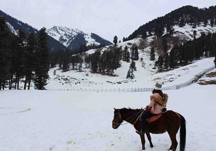 Amritsar to Patnitop Srinagar 7 Days Tour