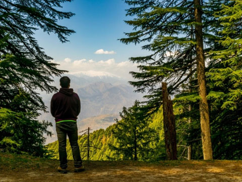 Shimla Taxi