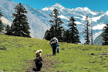 Amritsar Dalhousie Dharamshala